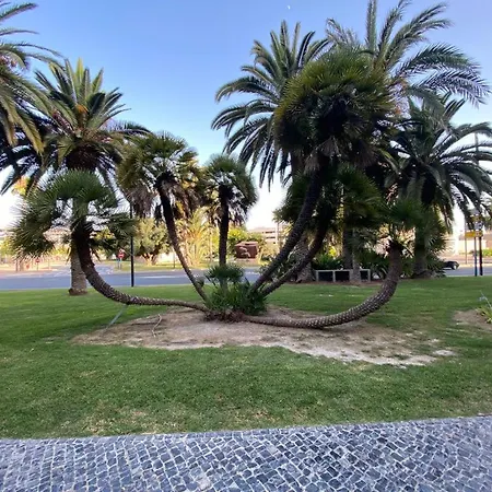 Apartment Golden Loft Alicante